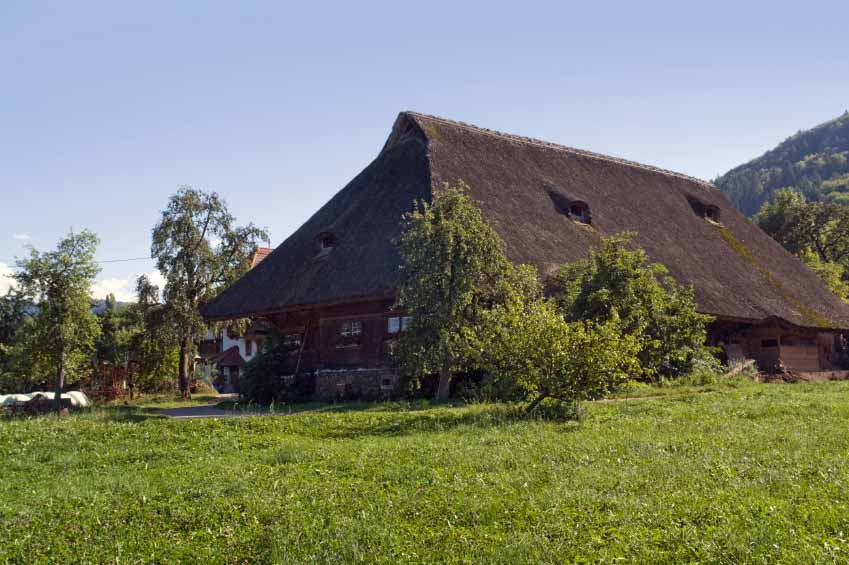Haus06